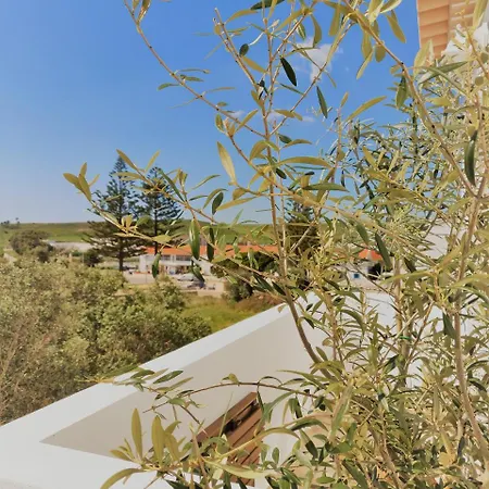 Pure Fonte Velha Bed & Breakfast